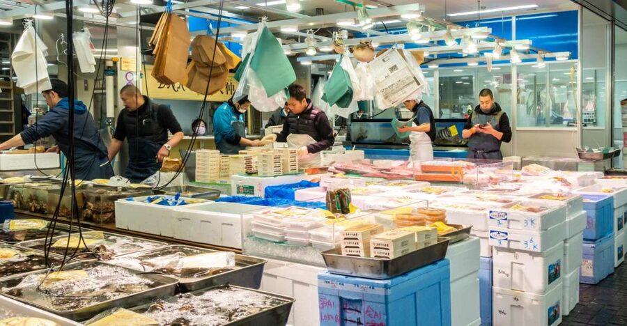 Tokyo Tsukiji Food & Culture Private Tour Licensed Guide - Why this private Tokyo food tour works