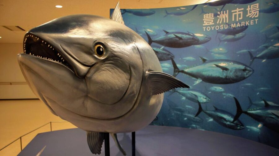 Tokyo Tsukiji Food & Culture Private Tour Licensed Guide - Kappabashi, Tokyo’s kitchenware wonderland