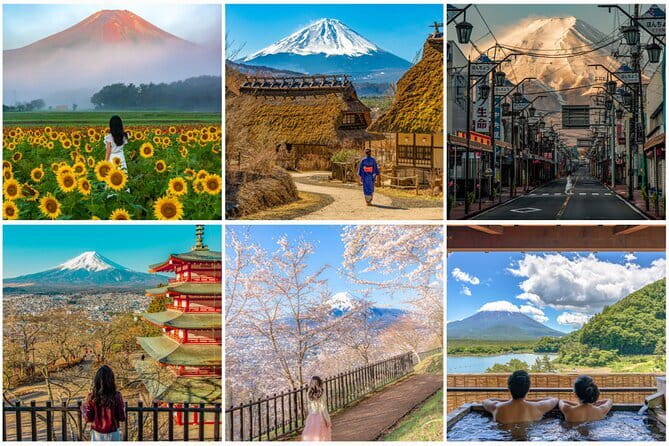 Tokyo Ueno Food & Nature & Localtown Tour: 10Dishes+ Drinks - Sakura and the value of a local guide