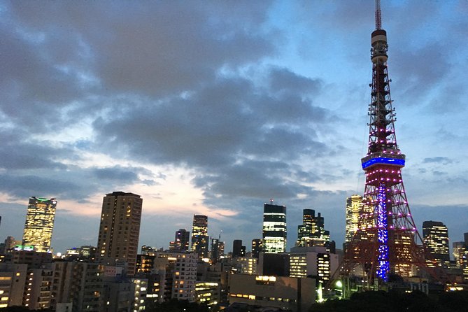 Tokyo VIP Guided Private Car Tour with Optional Airport Transfer - Tokyo Skytree and the city from above