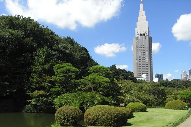 Tokyo VIP Guided Private Car Tour with Optional Airport Transfer - Tsukiji Outer Market and the food stops