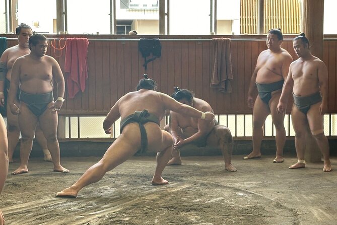 Tokyo: Visit Sumo Morning Practice with English Guide - Why morning practice feels different from a tournament