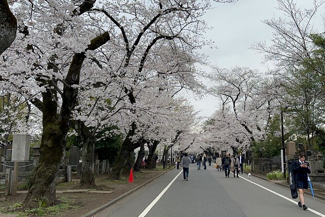 Tokyo : Yanaka and Nezu-Old Traditional Town Cultural Experience - A slow walk through residential Nezu