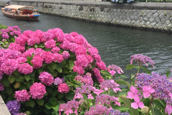 Tour around Matsue Horikawa - Why Matsue’s Moats Make This Ride Special