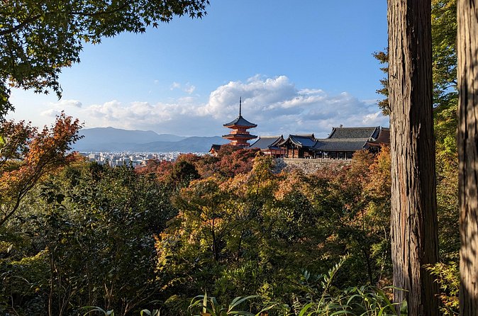 Tour in Kyoto with a Goverment Certified Tour Guide - Gion, where atmosphere matters more than box-ticking