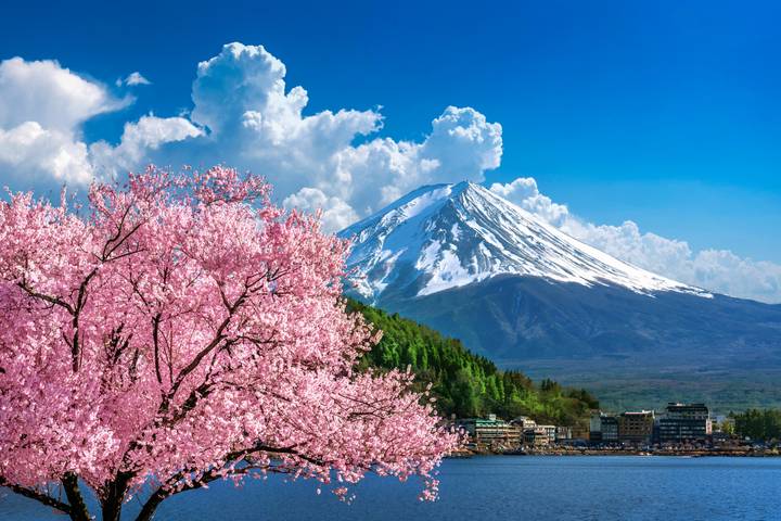 Tour - Japan Bonsai by Bavaria Fernreisen: 12 Days, Osaka to Narita Review - At a glance