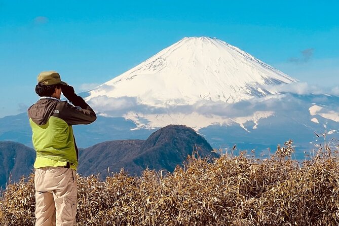 Traverse Outer Rim of Hakone Caldera and Enjoy Onsen Hiking Tour - Why this Hakone hike is different