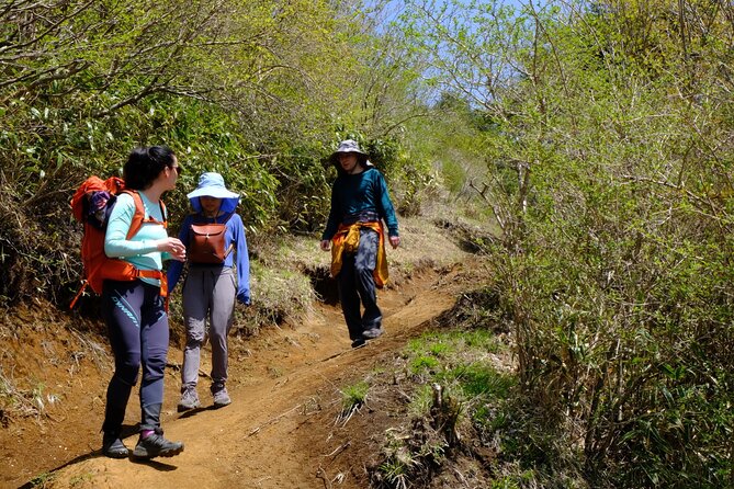 Traverse Outer Rim of Hakone Caldera and Enjoy Onsen Hiking Tour - Mt. Marudake and the outer-rim ridge walk