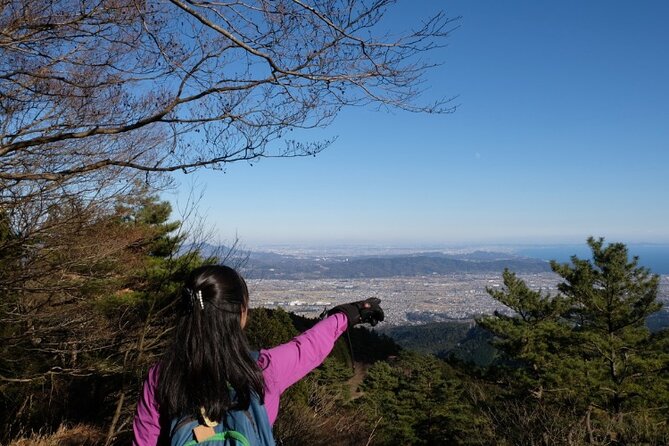 Traverse Outer Rim of Hakone Caldera and Enjoy Onsen Hiking Tour - The onsen finish, with indoor and outdoor baths