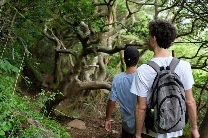 Traverse Outer Rim of Hakone Caldera and Enjoy Onsen Hiking Tour - What the $158.13 price includes and leaves out