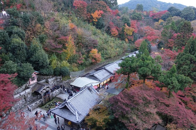 TREASURES of Kyoto: Fushimi Inari, Kiyomizu Temple, and more! - Kiyomizu-dera and Kyoto from above