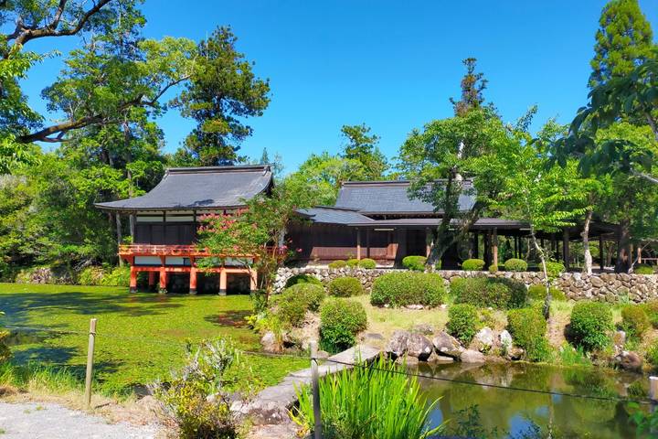 Treasures of Kyushu by Europamundo - 7-Day Tour Review - Day 4: Unzen’s steam vents, then castle walls in Kumamoto