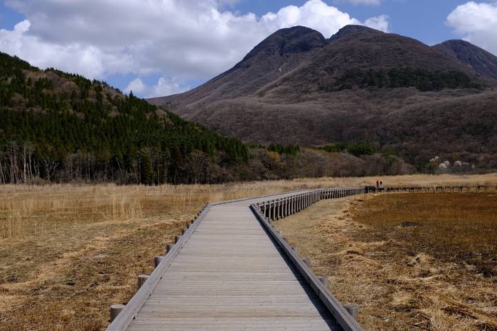 Treasures of Kyushu by Europamundo - 7-Day Tour Review - Day 7: Breakfast, then the tour ends