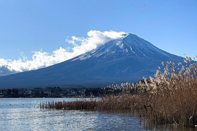 Tsukiji Fish Market Private Food Tour in Tokyo - Is $82.04 Per Person Good Value?