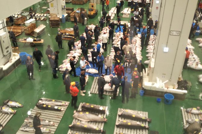 Tuna auction at Toyosu Market with qualified guide and early morning tour of Tsukiji Outer Market - Meeting Toyosu before sunrise