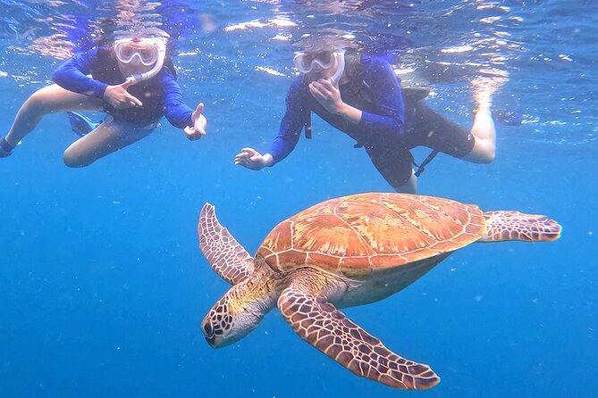 Turtle Snorkeling in Ishigaki - Fluent English! Small Group! - How weather affects the morning