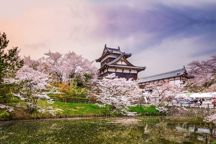 Ultimate Japan-2025 by Travel Talk - 14-Day Tokyo to Osaka Tour Review - Hiroshima and Miyajima: remembrance and island views