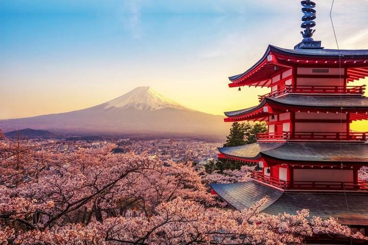 Ultimate Japan-2025 by Travel Talk - 14-Day Tokyo to Osaka Tour Review - Osaka’s markets, castle, and late-night streets