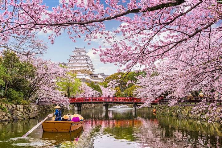 Ultimate Japan-2025 by Travel Talk - 14-Day Tokyo to Osaka Tour Review - Hakone’s lake, shrine, and cable car