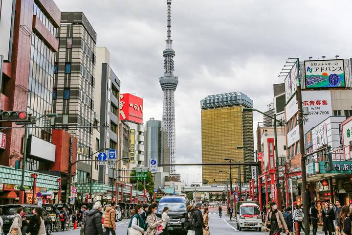 Ultimate Japan Honeymoon (Private Tailored) by Odynovo - 13-Day Tour Review - Izu Oshima gives the itinerary room to breathe
