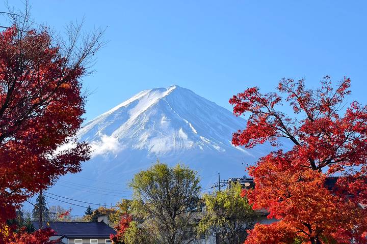 Ultimate Japan Honeymoon (Private Tailored) by Odynovo - 13-Day Tour Review - What the price covers, and what to check