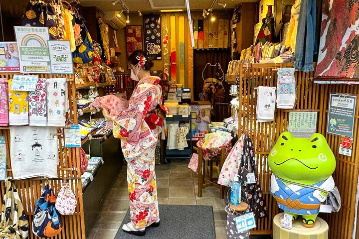 Ultimate Japan Honeymoon (Private Tailored) by Odynovo - 13-Day Tour Review - FAQ