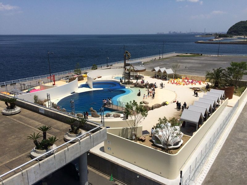 Umitamago Aquarium Ticket in Oita - Make time for the dolphin and walrus shows