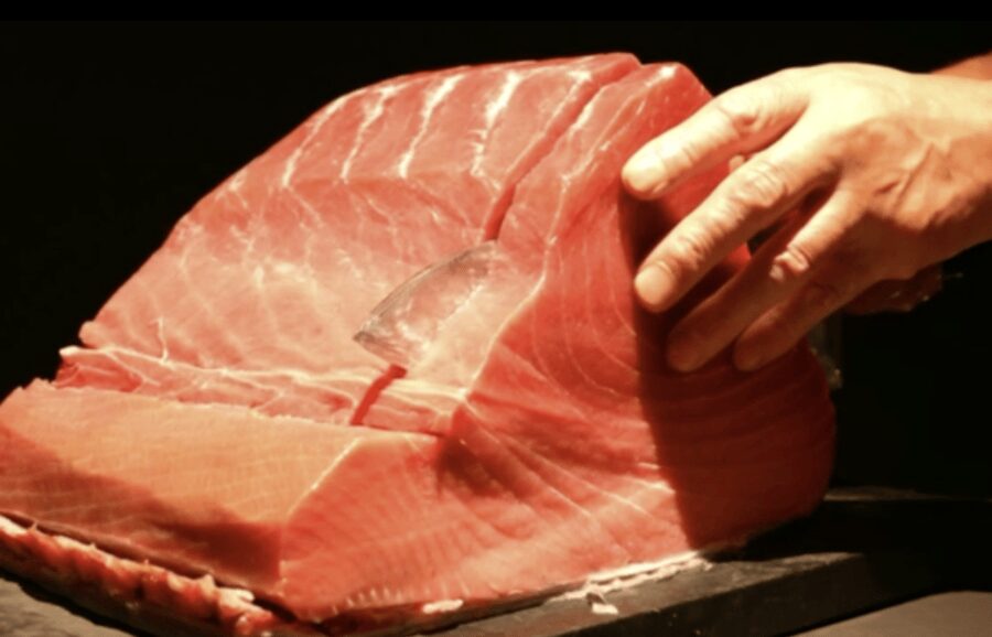 Unlimited Sake Tasting with Sushi Omakase tasting in Tokyo - Premium tuna from Yamayuki