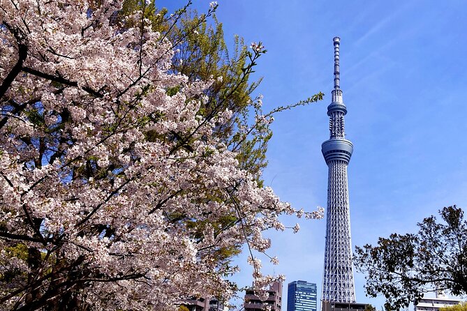 Unlock Hidden Tokyo: Private Custom Tour with a Local guide - Harajuku: Takeshita Street and Meiji Jingu