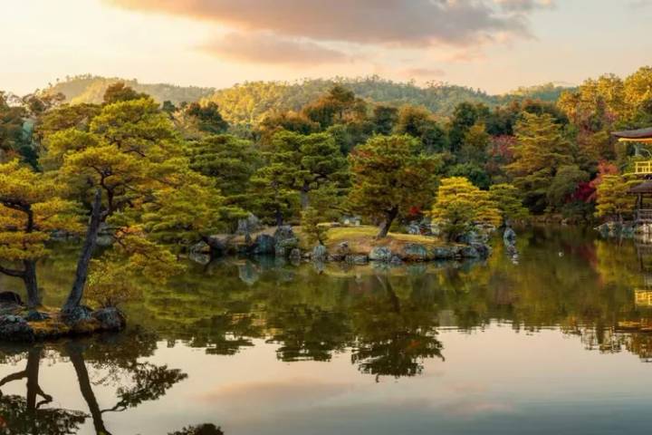 Upgraded - Discover Japan by Explore! - 9-Day Tokyo to Kyoto Tour Review - Should you book it?