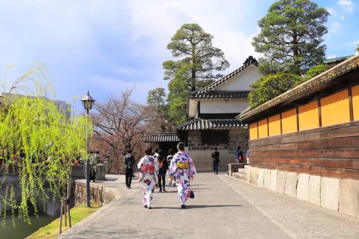 Upgraded - Discover Japan by Explore! - 9-Day Tokyo to Kyoto Tour Review - Miyajima adds a slower island day