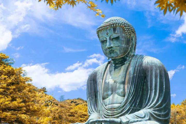 Upgraded - Discover Japan by Explore! - 9-Day Tokyo to Kyoto Tour Review - Tokyo’s gardens, market and fire ceremony