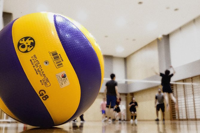 Volleyball in Osaka & Kyoto with Locals! - A small group can make a big difference