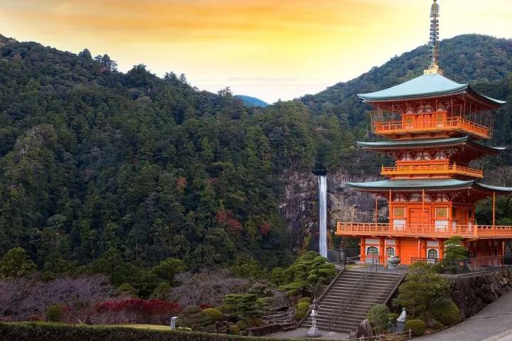Walk Japan - Kumano Kodo Trail by Explore! - 12-Day Tour Review - Tokyo begins with neighborhood walks