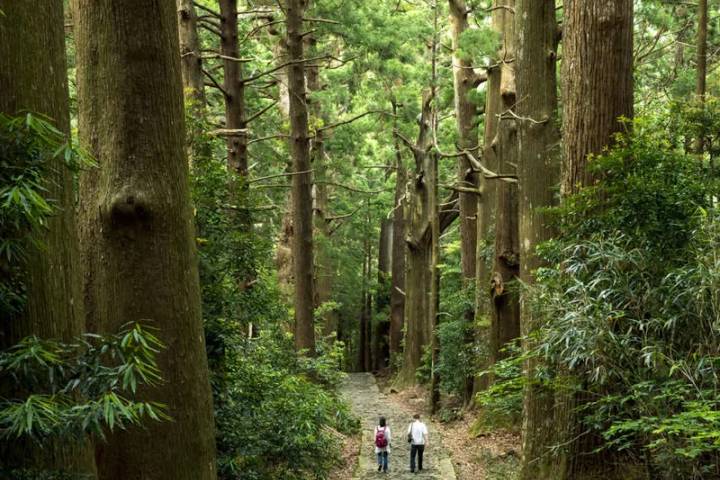 Walk Japan - Kumano Kodo Trail by Explore! - 12-Day Tour Review - Kyoto on foot, from Philosopher’s Path to Gion