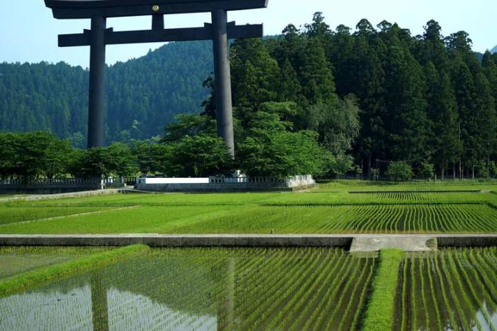 Walk Japan - Kumano Kodo Trail by Explore! - 12-Day Tour Review - Osaka ends the trip, not the sightseeing