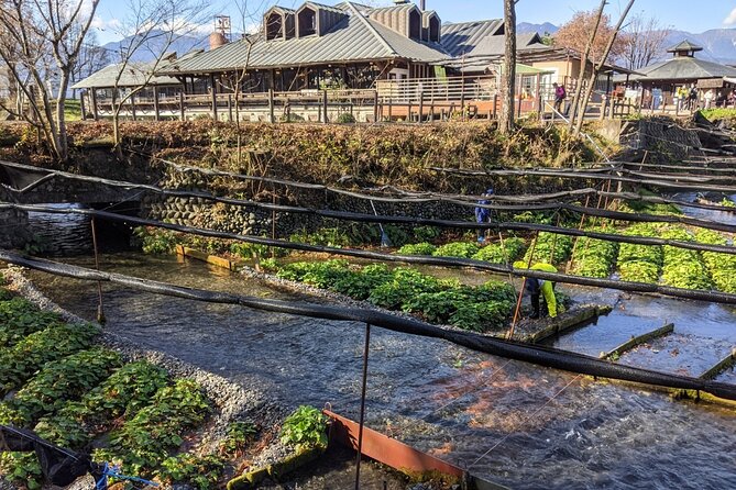 Wasabi Farm Walking Tour & Lunch - Wasabi ice cream: pleasant surprise or extra cost?