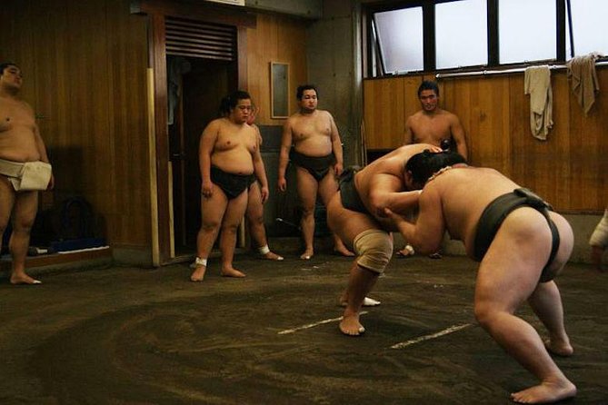 Watch Sumo Morning Practice at Stable in Tokyo - Inside the stable: quiet observation from the floor