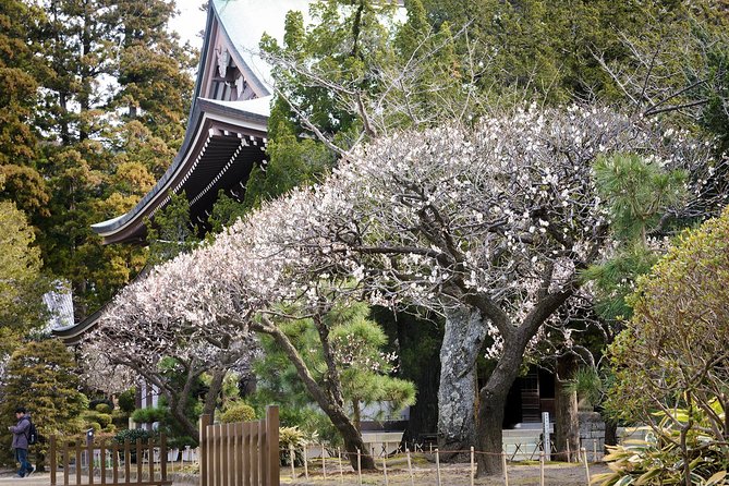 When Emperors Reigned and Shoguns Ruled - Kotoku-in and the Great Buddha