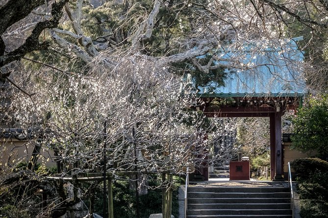 When Emperors Reigned and Shoguns Ruled - Hasedera Temple and the longest visit