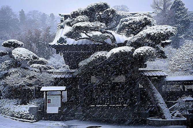 When Emperors Reigned and Shoguns Ruled - What makes Virgil a valuable guide