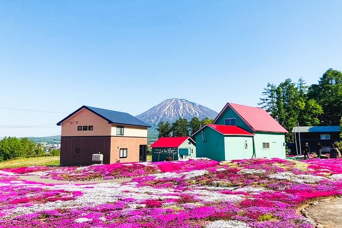 Wherever you want! 1-Day Private Tour from Sapporo to Furano more - Shakotan Peninsula and the Blue Line