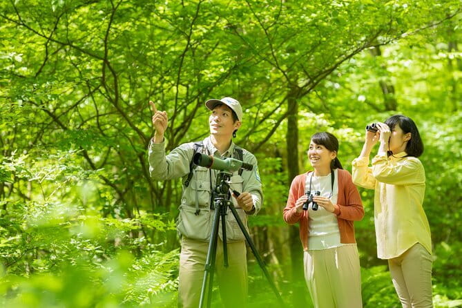 Wild Bird Sanctuary Forest Guided Tour in Nagano - Key Points Before You Book