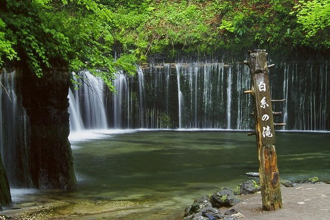 Wild Bird Sanctuary Forest Guided Tour in Nagano - Wildlife Possibilities in Every Season