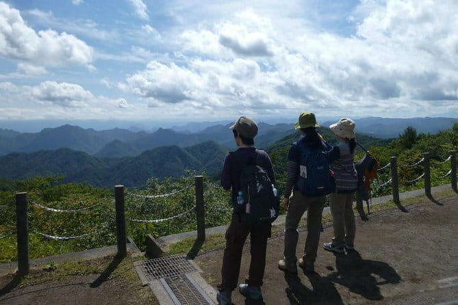 Wild Bird Sanctuary Forest Guided Tour in Nagano - Rain, Snow, and Changes to the Route