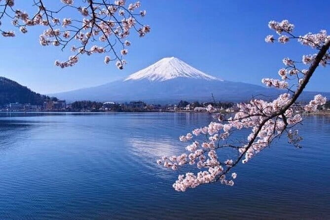 Winter Special: Clear View Mt. Fuji E-Bike Tour - What the guide adds to the ride