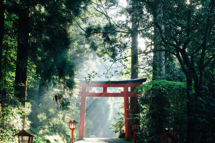 Wonders Of Japan by Travel Talk - 10-Day Tokyo to Osaka Tour Review - Kyoto: lanes, gates and a full day on foot