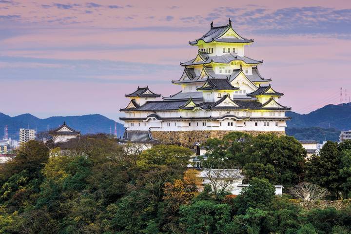 Wonders of Japan End Osaka GO by Europamundo - 12-Day Tour Review - Who should book this Japan tour?