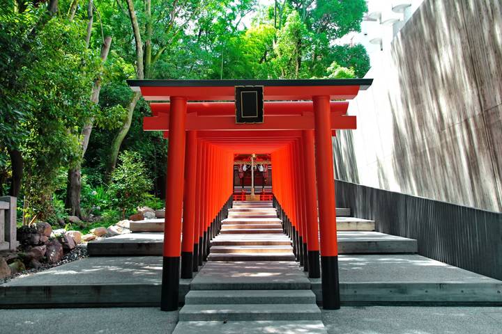 Wonders of Japan End Osaka (including Fukuyama) by Europamundo - 12-Day Tour - Mount Fuji and Kawaguchiko: the tour’s scenic pause