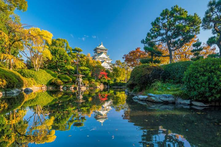 Wonders of Japan end Tokyo GO by Europamundo - 15-Day Tour Review - What the group format means in practice